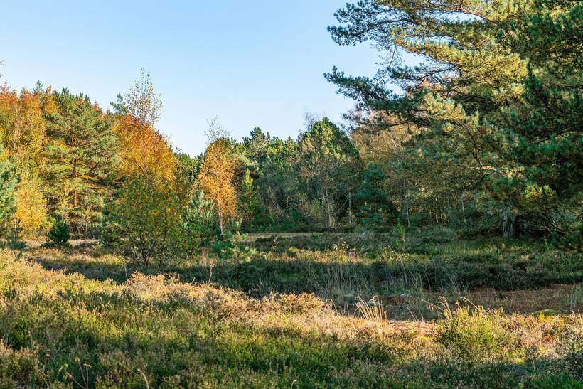 Foto von Ferienhaus OG13 in Østerby - Læsø