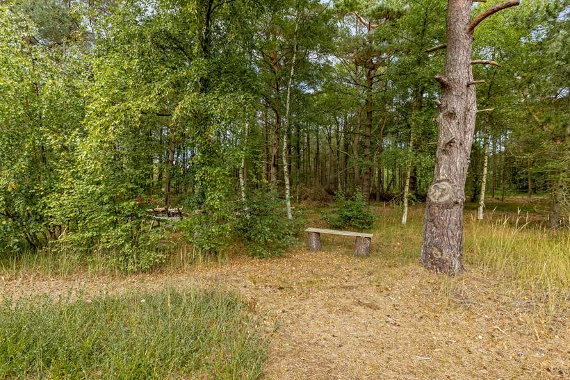 Foto von Ferienhaus OG13 in Østerby - Læsø