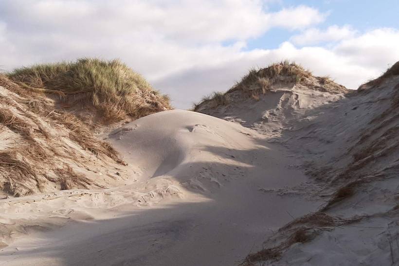 Foto von Ferienhaus OG19 in Grærup - Vejers Strand - Westjütland