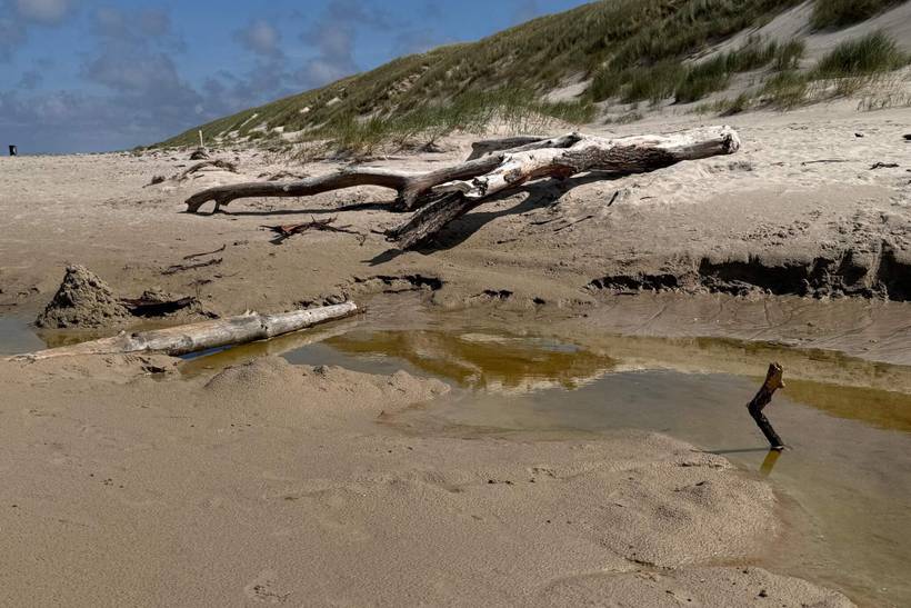 Foto von Ferienhaus OG19 in Grærup - Vejers Strand - Westjütland