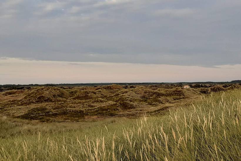 Foto von Ferienhaus OG19 in Grærup - Vejers Strand - Westjütland