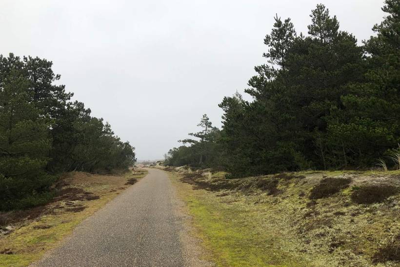 Foto von Ferienhaus OG19 in Grærup - Vejers Strand - Westjütland