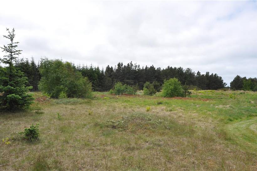 Foto von Ferienhaus OH04 in Vester Husby - Westjütland