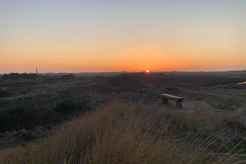 Foto von Ferienhaus OH16 in Blåvand - Westjütland
