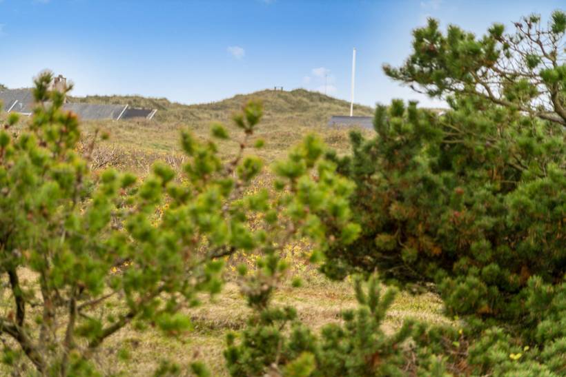 Foto von Ferienhaus OH66 in Grønhøj - Løkken - Nordjütland