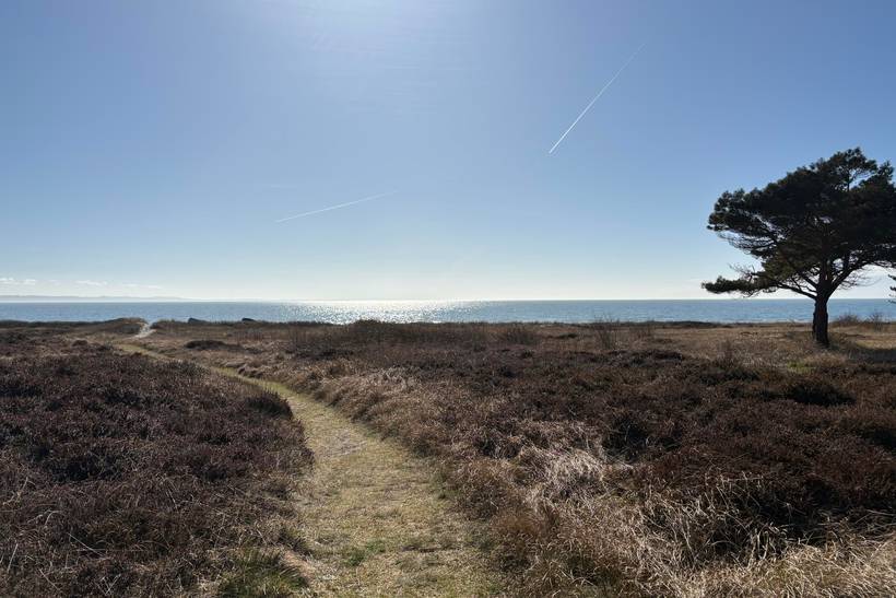 Foto von Ferienhaus OH92 in Sejerø Bugt - Westseeland