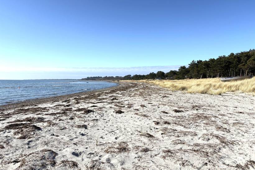 Foto von Ferienhaus OH92 in Sejerø Bugt - Westseeland