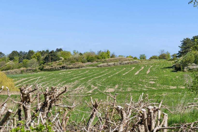 Foto von Ferienhaus OH92 in Sejerø Bugt - Westseeland