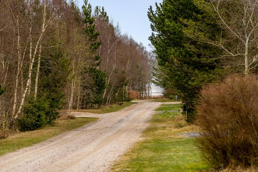 Foto von Ferienhaus OI03 in Helberskov - Nordjütland Ost