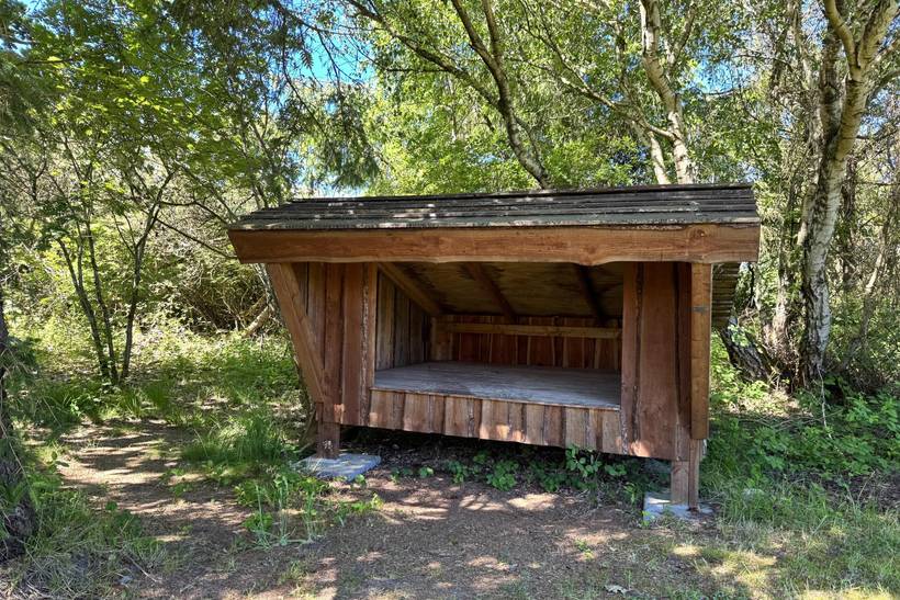Foto von Ferienhaus OI23 in Søndervig - Westjütland
