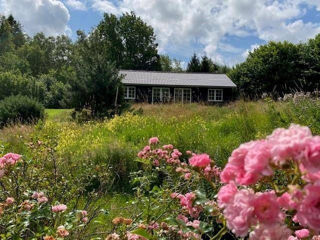 Foto von Ferienhaus OI57 in Strandsiden - Rørvig - Westseeland