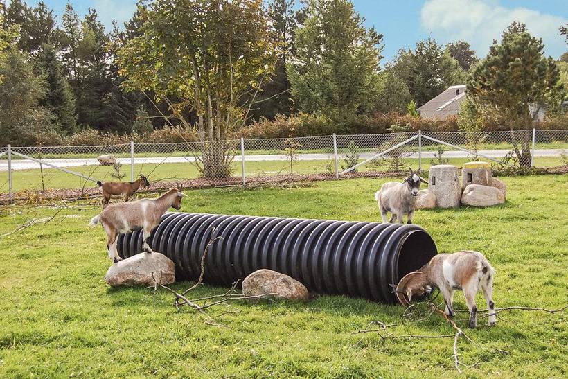 Foto von Ferienhaus OI60 in Jegum - Westjütland