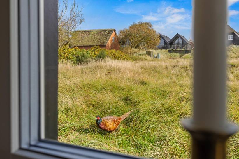 Foto von Ferienhaus OI81 in Fanø Bad - Fanø