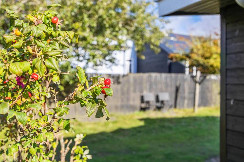 Foto von Ferienhaus OI81 in Fanø Bad - Fanø