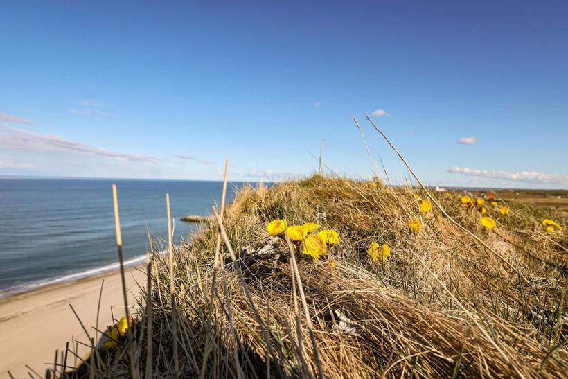 Foto von Ferienhaus OI83 in Trans - Westjütland