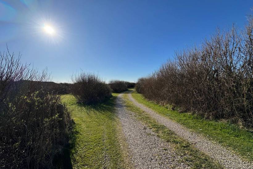 Foto von Ferienhaus OI83 in Trans - Westjütland