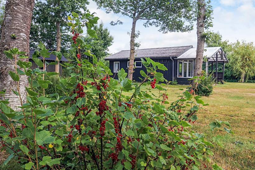 Foto von Ferienhaus OI84 in Serup - Thy/Limfjord