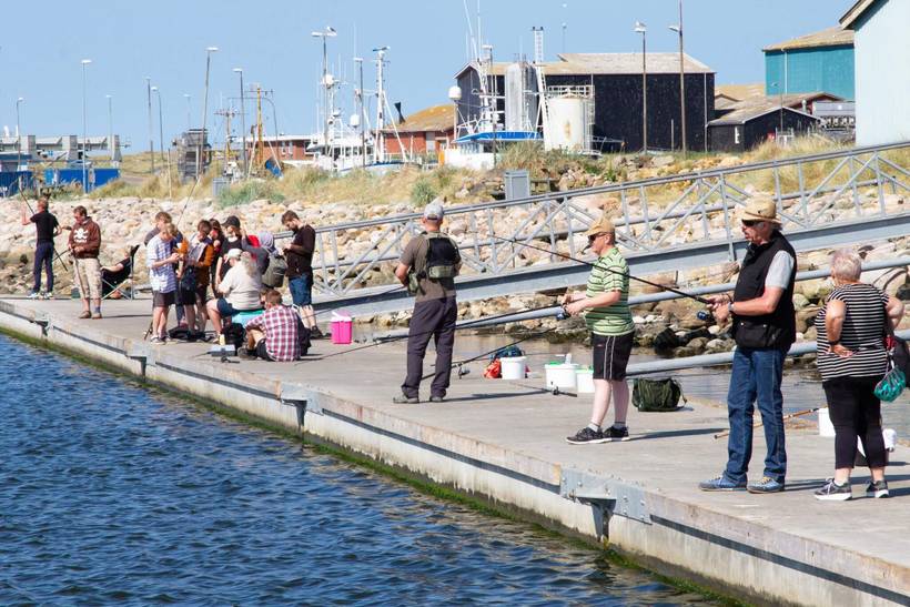 Foto von Ferienhaus OJ03 in Hvide Sande - Westjütland