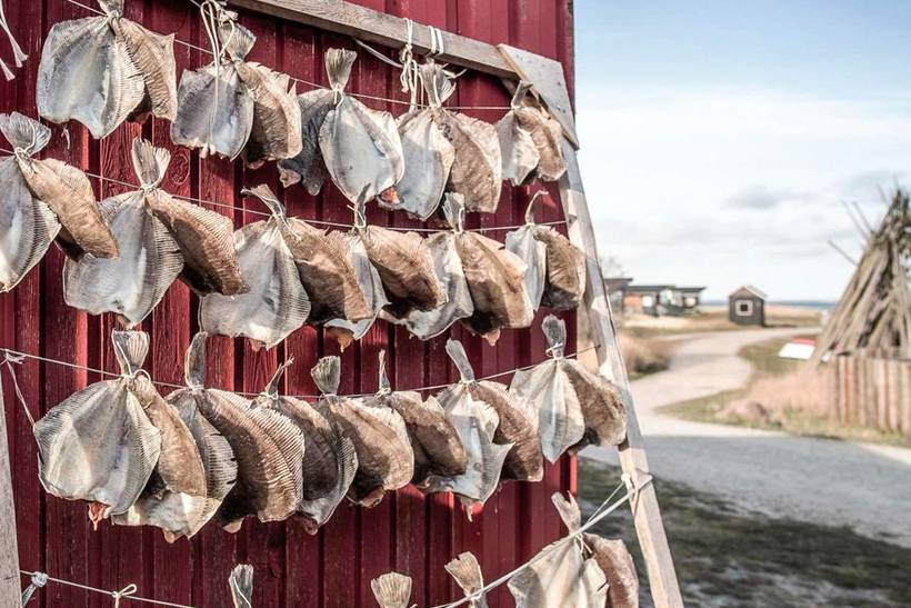 Foto von Ferienhaus OJ03 in Hvide Sande - Westjütland