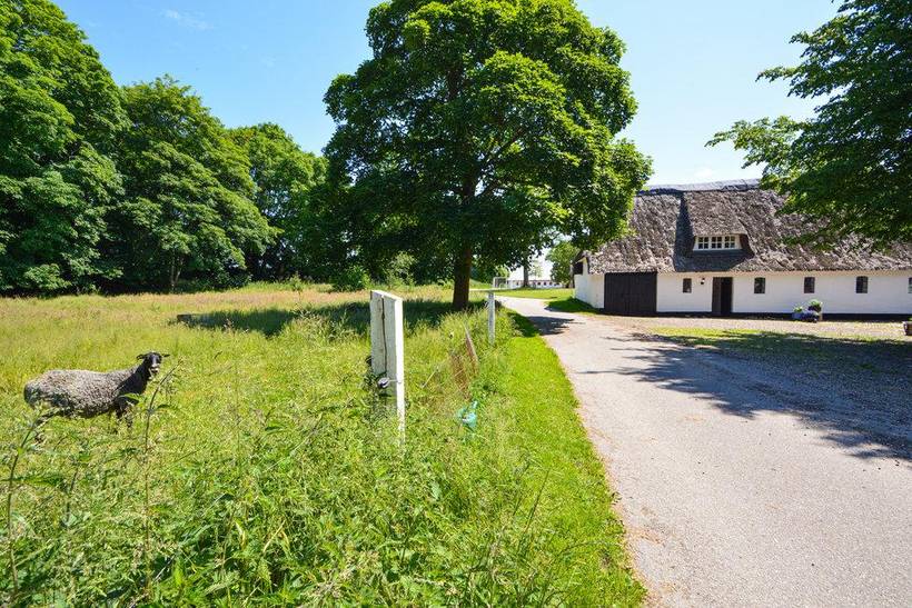 Foto von Ferienhaus OJ14 in Agerskov - Südjütland