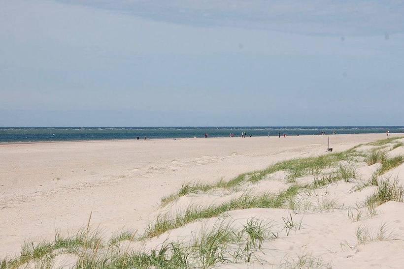 Foto von Ferienhaus OJ61 in Blåvand - Westjütland