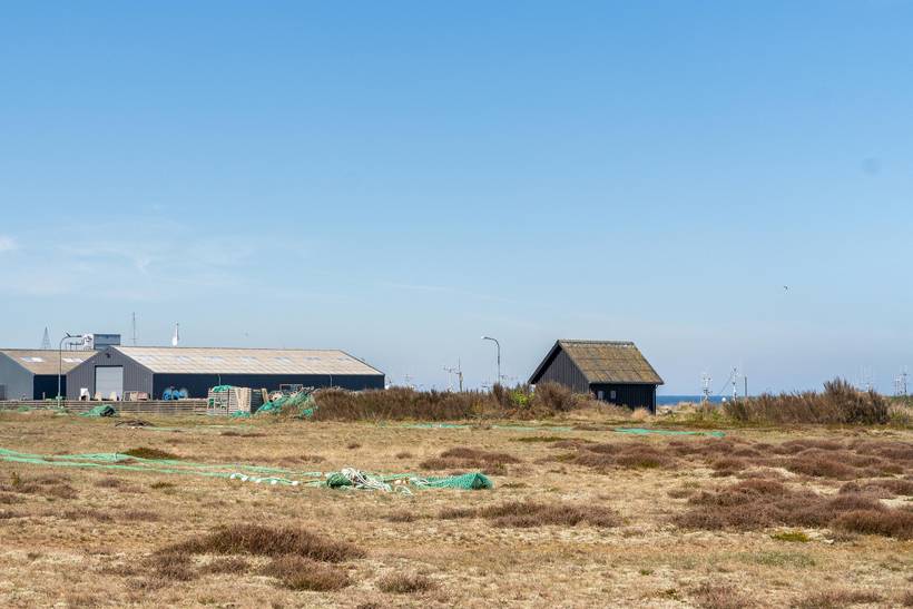Foto von Ferienhaus OJ76 in Østerby - Læsø