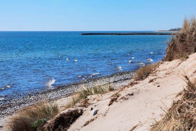 Foto von Ferienhaus OK48 in Kramnitse - Lolland