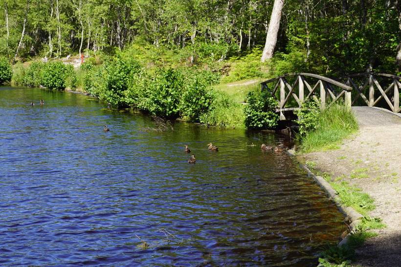 Foto von Ferienhaus OK54 in Skiveren - Tversted - Nordjütland