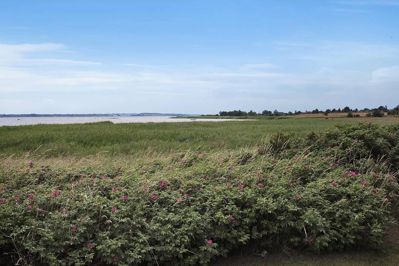 Foto von Ferienhaus OK84 auf Tuse Næs - Westseeland