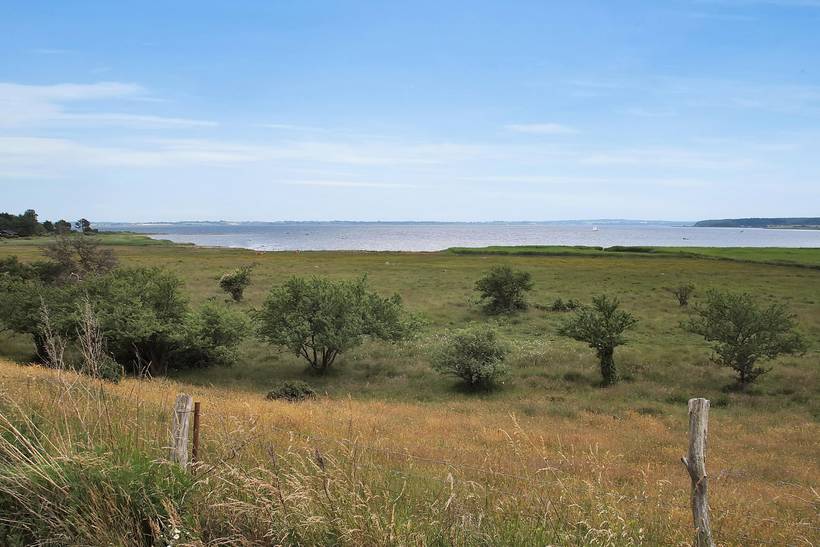 Foto von Ferienhaus OK84 auf Tuse Næs - Westseeland