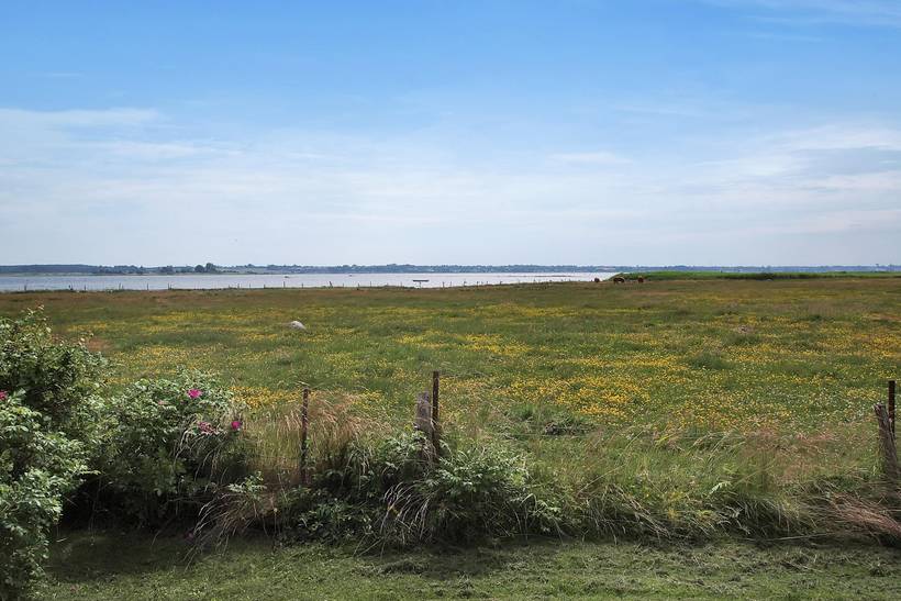 Foto von Ferienhaus OK84 auf Tuse Næs - Westseeland