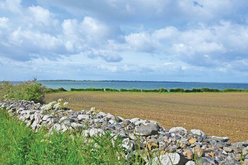 Foto von Ferienhaus OL08 auf Dyreborg - Südfünen