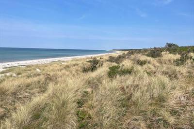Vorschaubild von Ferienhaus OL32 in Strandsiden - Rørvig - Westseeland