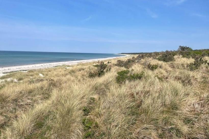 Foto von Ferienhaus OL32 in Strandsiden - Rørvig - Westseeland