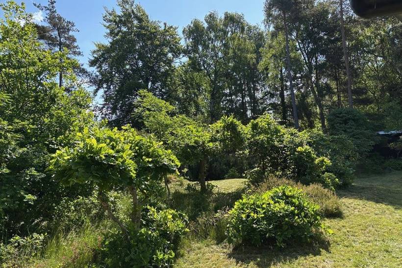 Foto von Ferienhaus OL51 in Nordstrand - Rørvig - Westseeland