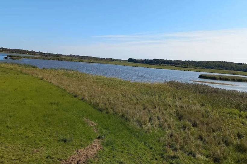 Foto von Ferienhaus OL90 in Trend - Thy/Limfjord