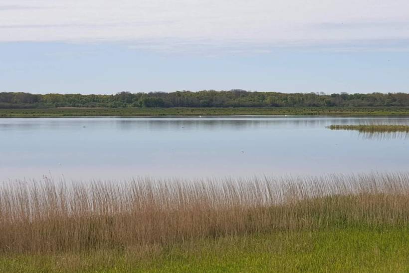 Foto von Ferienhaus OL90 in Trend - Thy/Limfjord