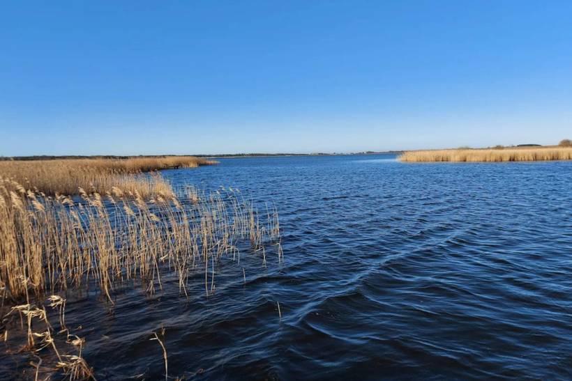 Foto von Ferienhaus OL90 in Trend - Thy/Limfjord