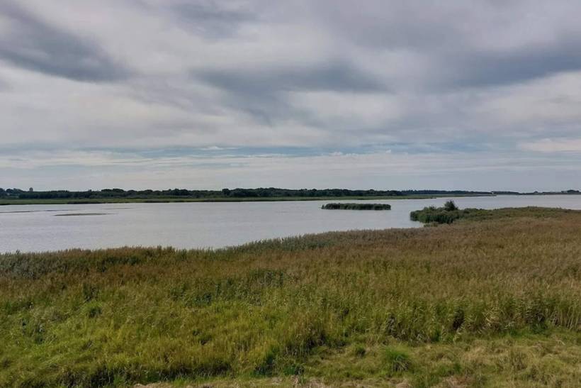 Foto von Ferienhaus OL90 in Trend - Thy/Limfjord
