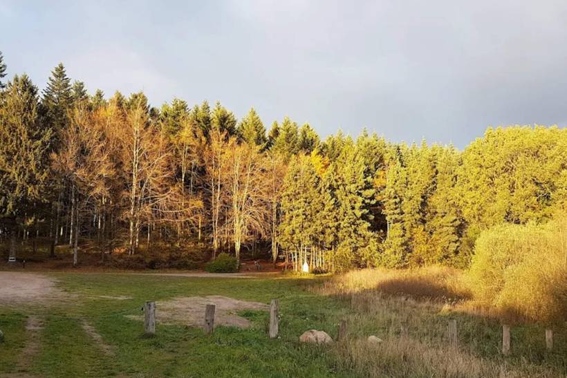 Foto von Ferienhaus OL90 in Trend - Thy/Limfjord