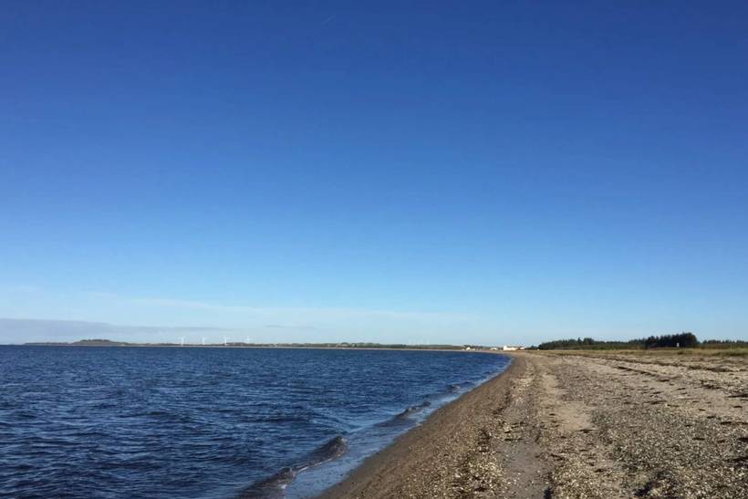 Foto von Ferienhaus OL90 in Trend - Thy/Limfjord