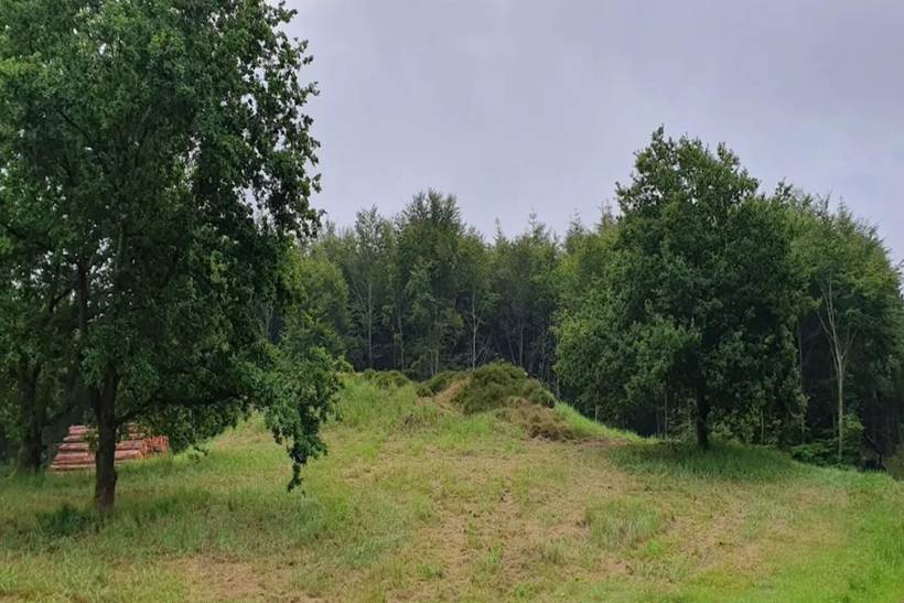 Foto von Ferienhaus OL90 in Trend - Thy/Limfjord