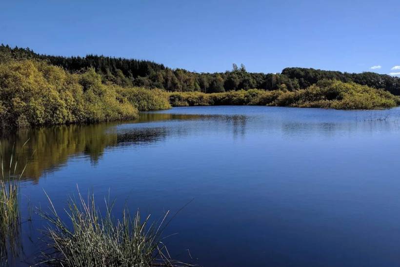 Foto von Ferienhaus OL90 in Trend - Thy/Limfjord