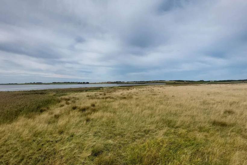 Foto von Ferienhaus OL90 in Trend - Thy/Limfjord