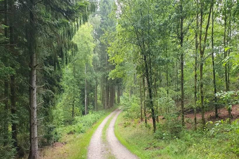 Foto von Ferienhaus OL90 in Trend - Thy/Limfjord