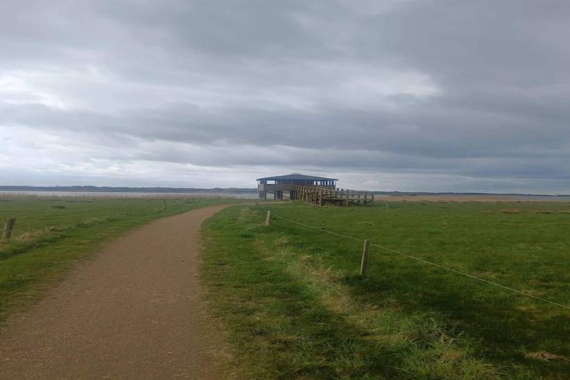Foto von Ferienhaus OL90 in Trend - Thy/Limfjord