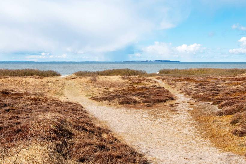 Foto von Ferienhaus OL90 in Trend - Thy/Limfjord