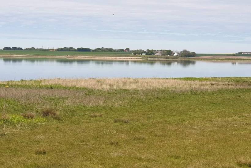 Foto von Ferienhaus OL90 in Trend - Thy/Limfjord