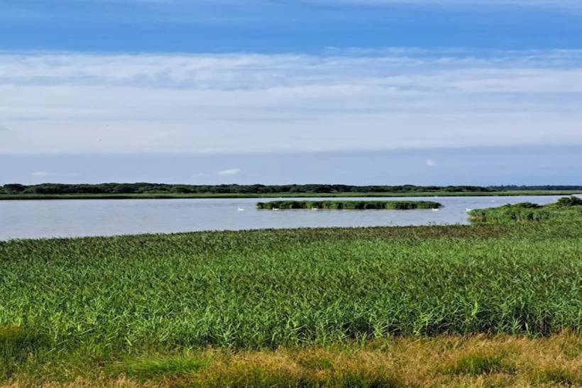 Foto von Ferienhaus OL90 in Trend - Thy/Limfjord