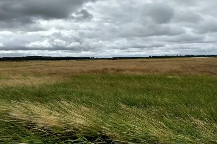 Foto von Ferienhaus OL90 in Trend - Thy/Limfjord